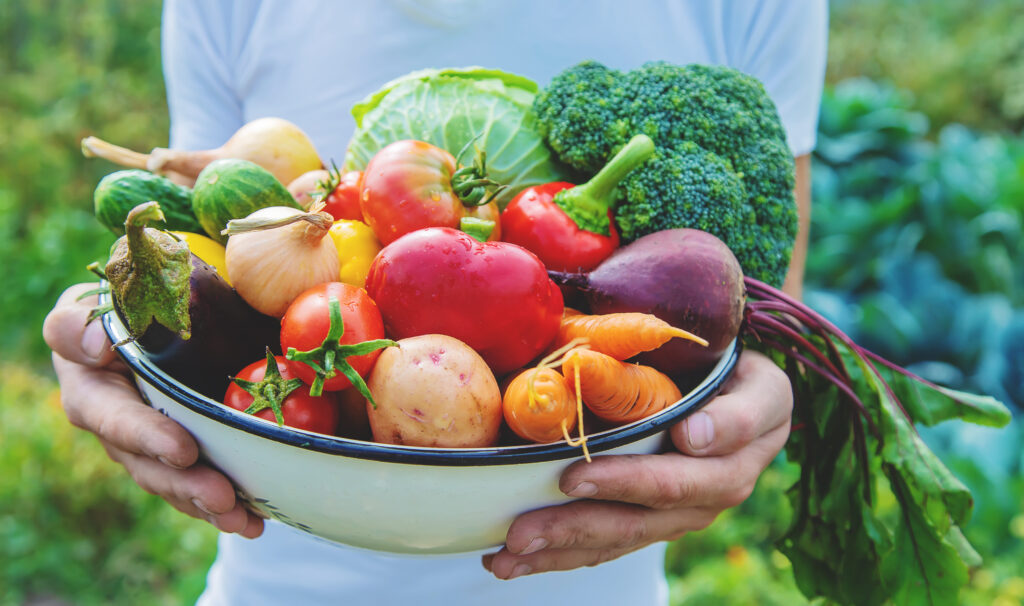 Los alimentos que consumimos contienen nutrientes que son imprescindibles para que nuestro cuerpo funcione correctamente. ¿Cuáles son los principales nutrientes que debemos obtener de los alimentos? 